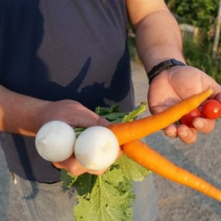 茨城県が誇る農薬、化学肥料を一切使用しない「樫村ふぁーむ」の野菜