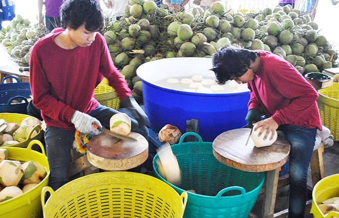 クセになる味!タイの食はココナッツからはじまる クセになる味!タイの食はココナッツからはじまる