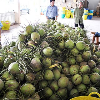 クセになる味!タイの食はココナッツからはじまる クセになる味!タイの食はココナッツからはじまる