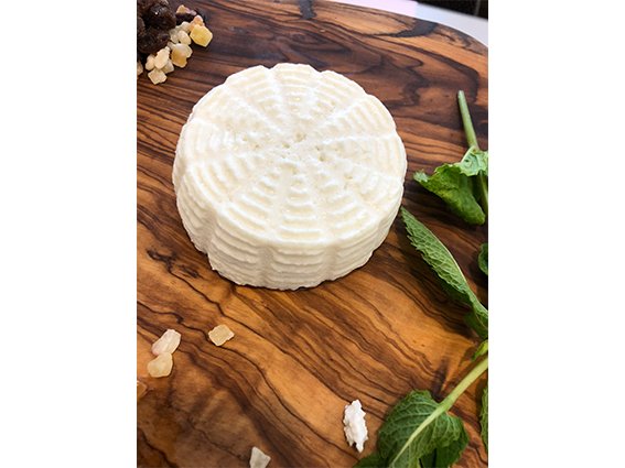 NEW OPEN!本土最南端の手造りチーズ工房『Kotobuki CHEESE』 NEW OPEN!本土最南端の手造りチーズ工房『Kotobuki CHEESE』
