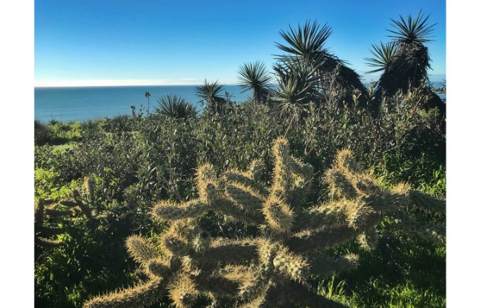 食べて旅して綺麗になろう：カリフォルニア編2、大分編