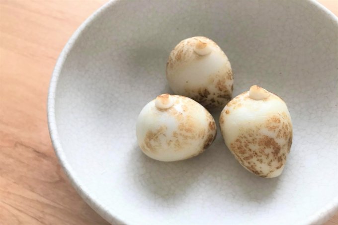 十五夜に味わいたい!愛らしい上生菓子『たねや』の「里だより」 十五夜に味わいたい!愛らしい上生菓子『たねや』の「里だより」