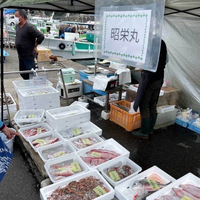 【ふるさと納税】これぞまさに究極の地産地消！和歌山ガストロテリアエッフェ【PR】