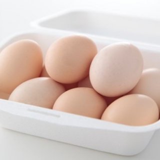 “不老不死の鳥”の卵！？希少な烏骨鶏の有精卵
